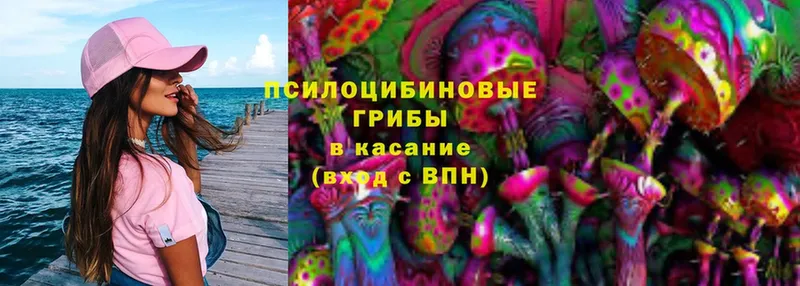 Псилоцибиновые грибы MAGIC MUSHROOMS  где можно купить наркотик  Чкаловск 